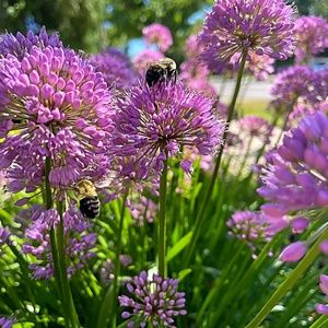 Meet your Posher, Christa